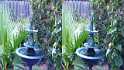 3D Hummingbirds in the Birdbath in Tierrasanta Fujifilm Finepix REAL 3D W3