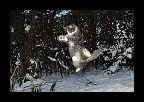 Snowtime_004