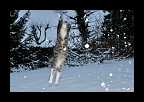 Snowtime_005