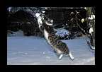 Snowtime_009
