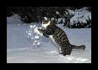 Snowtime_014