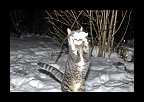 Snowtime_020