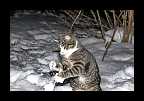 Snowtime_024