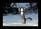 Snowtime_002