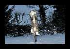 Snowtime_003