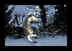 Snowtime_006