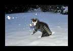 Snowtime_010