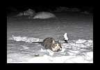 Snowtime_015