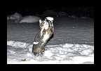 Snowtime_016