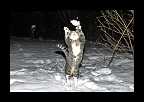 Snowtime_019