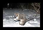 Snowtime_023