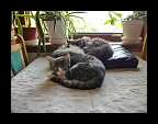 03_sommer_068