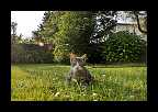 03_sommer_028