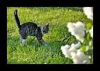 03_sommer_030