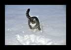 04_Vinter2010_010