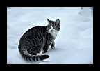04_Vinter2010_011
