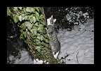 04_Vinter2010_013