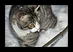 04_Vinter2010_014
