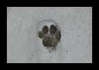 04_Vinter2010_015