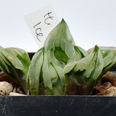 22a_750_6459