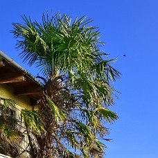 750_6849b