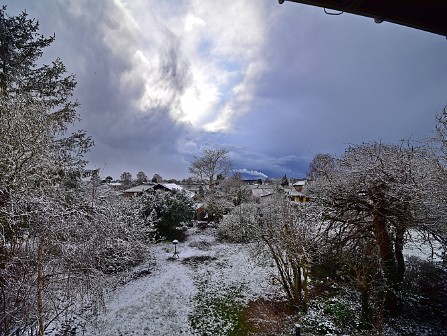 Vinter