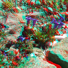 DSCF8596