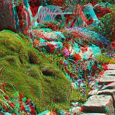 DSCF8598