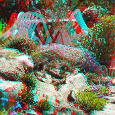 DSCF8601
