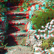 DSCF8604