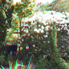 DSCF8606