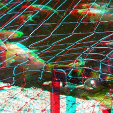 DSCF8610