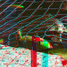 DSCF8611