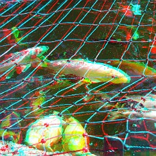 DSCF8612