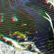 DSCF8616