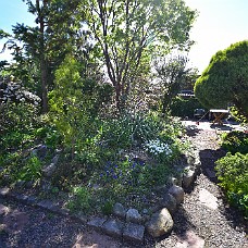 Wide_750_0018