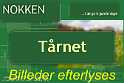 Taarnet